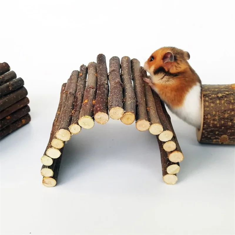 Pet Supplies Login - الحيوانات الأليفة الصغيرة المولي الصفصاف فرع