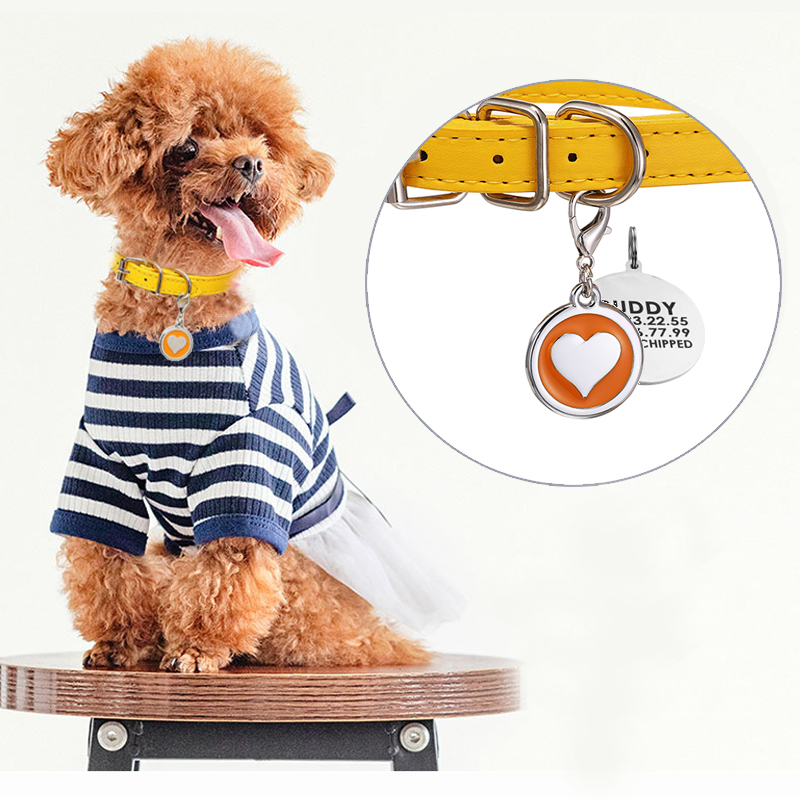 Pet Supplies Login - الحيوانات الأليفة القط الكلب ياقة جلدية