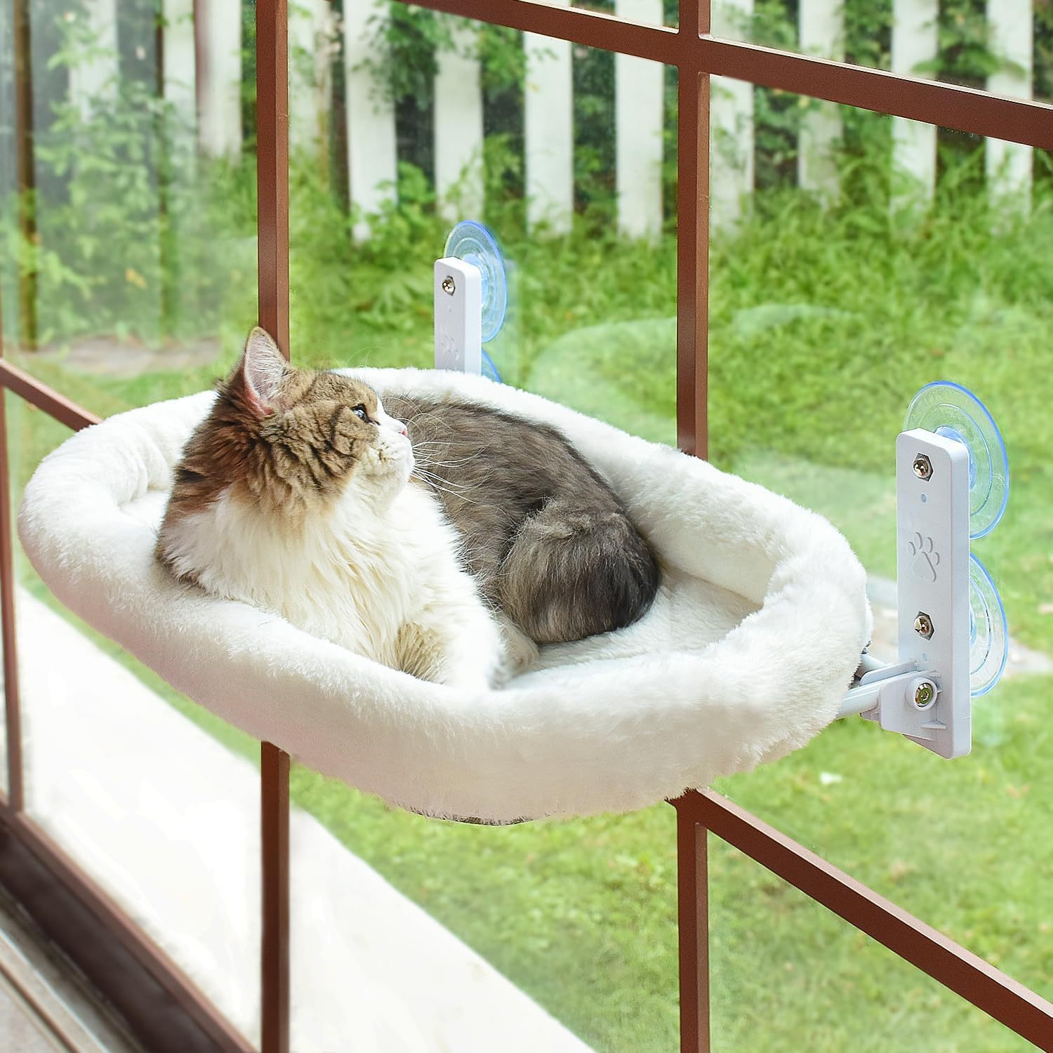 Cat Window Perch - سرير معلق للقطط يثبت على النافذة