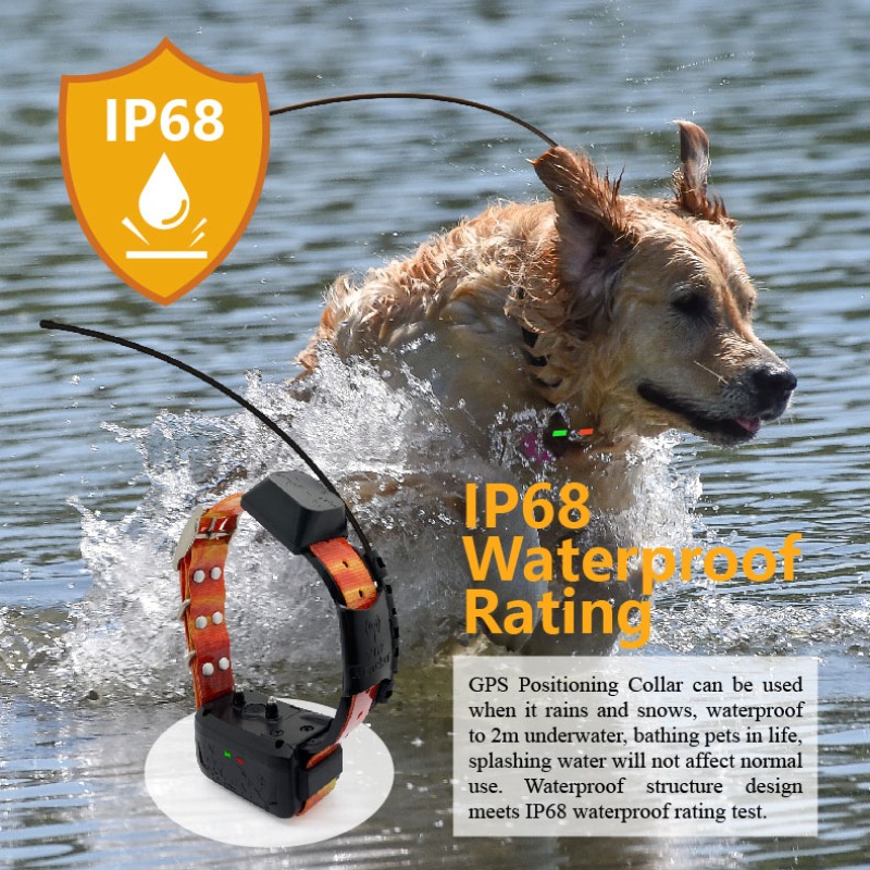 Pet Supplies Login - مدير سياج GPS للكلاب من Enterprise: