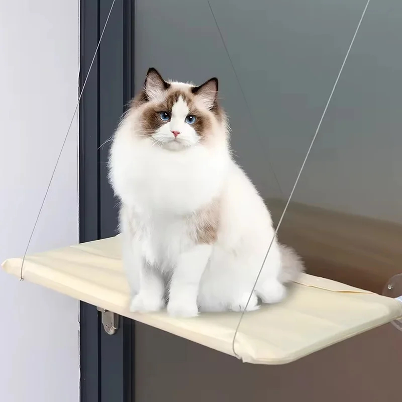سرير قطط ناعم للغاية يُعلق على - مراجعة Cat Window Perch وسعره