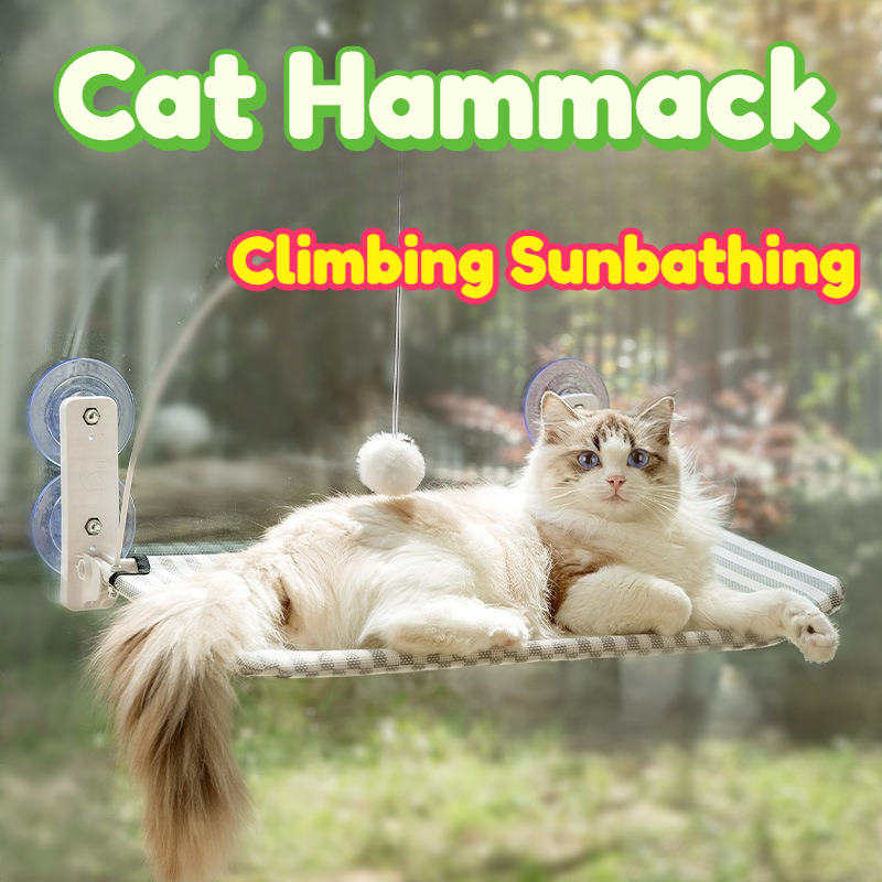 أرجوحة للقطط تُعلق على النافذة - مراجعة Cat Window Perch وسعره