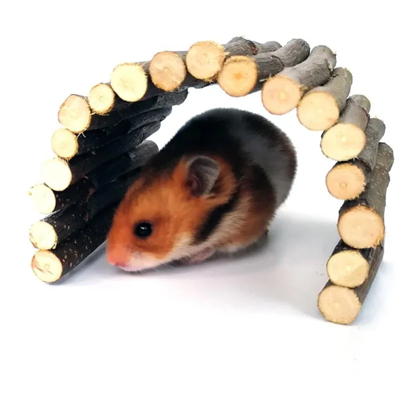 الحيوانات الأليفة الصغيرة المو - مراجعة Pet Supplies Login وسعره