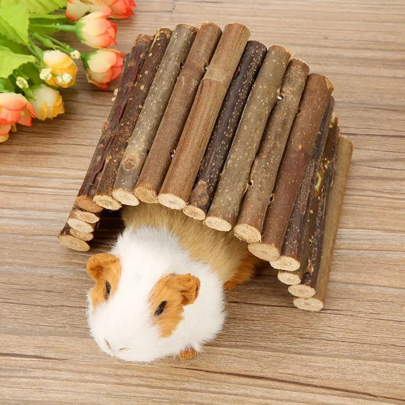 الحيوانات الأليفة الصغيرة المو - مراجعة Pet Supplies Login وسعره
