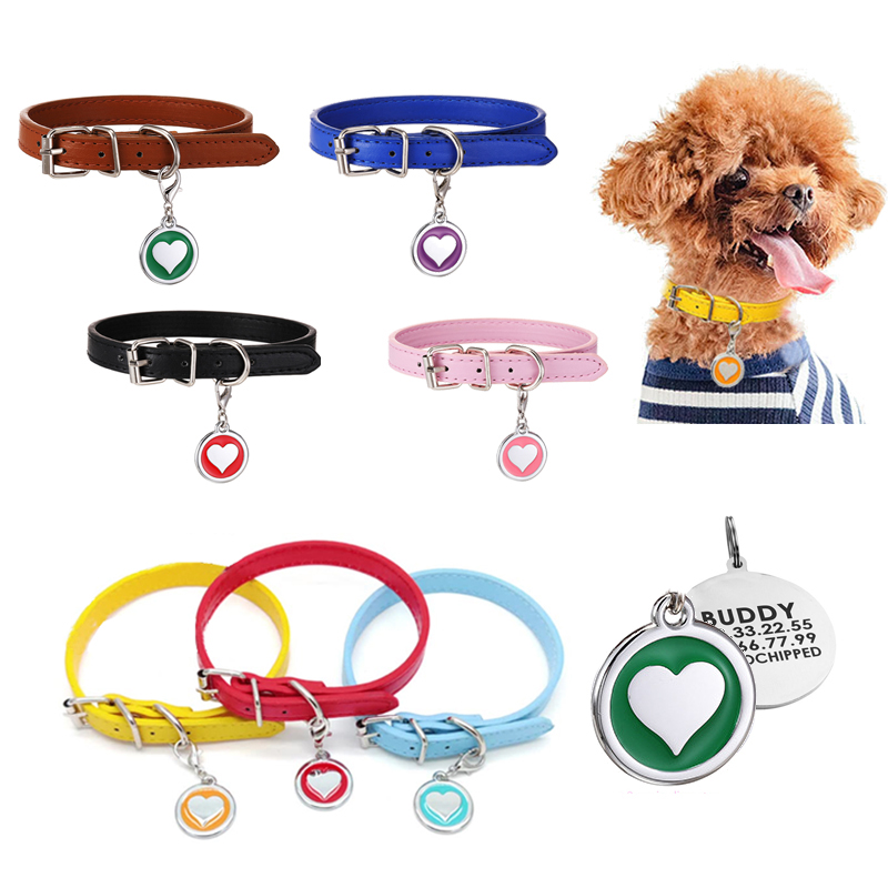 الحيوانات الأليفة القط الكلب ي - مراجعة Pet Supplies Login وسعره