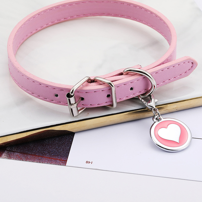 الحيوانات الأليفة القط الكلب ي - مراجعة Pet Supplies Login وسعره