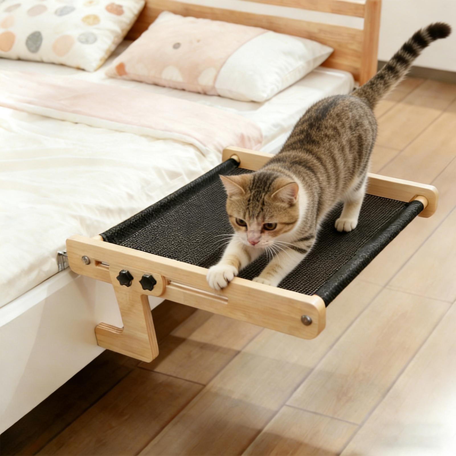 سرير نافذة للقطط، أرجوحة عائمة - مراجعة Cat Window Perch وسعره