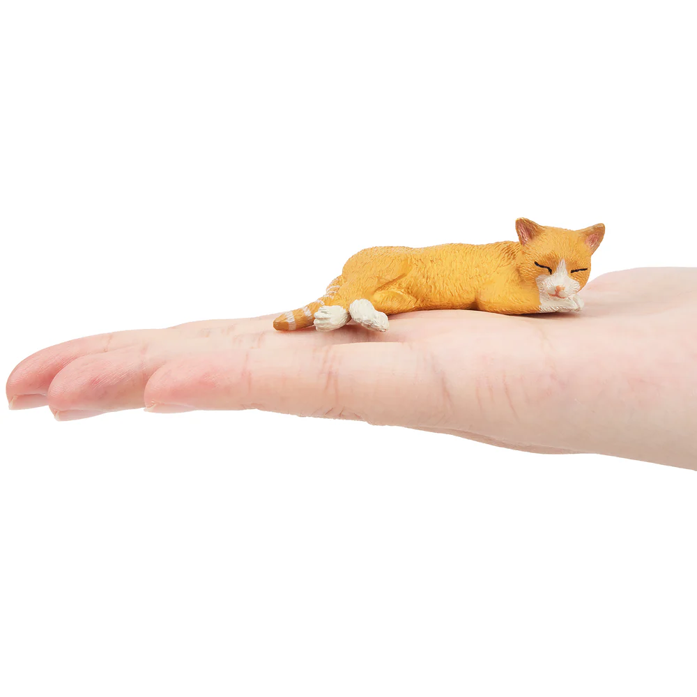 Toymany محاكاة الكذب البرتقال  - مراجعة Pet Supplies Delivery وسعره