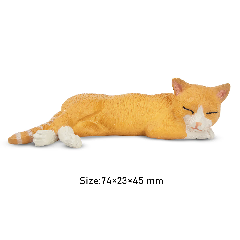 Toymany محاكاة الكذب البرتقال  - مراجعة Pet Supplies Delivery وسعره