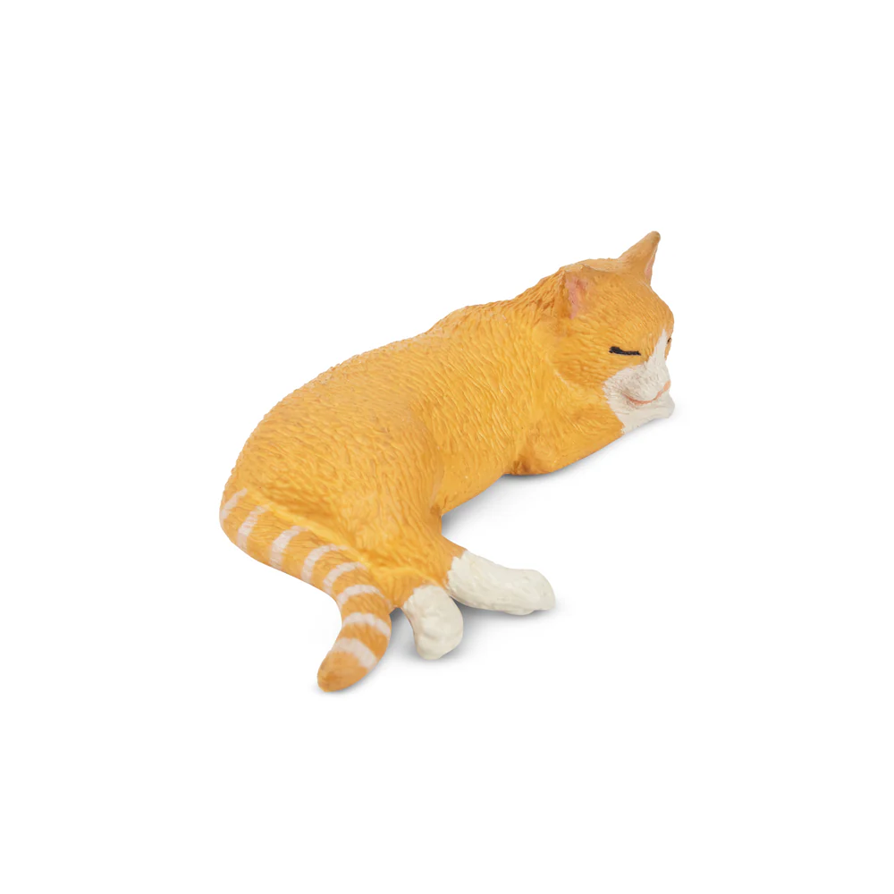 Toymany محاكاة الكذب البرتقال  - مراجعة Pet Supplies Delivery وسعره